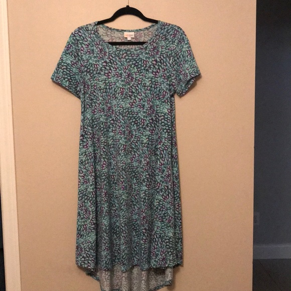 Lularoe Carly - Picture 1 of 4